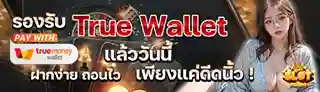 เว็บ แท้ เว็บ ตรง wallet